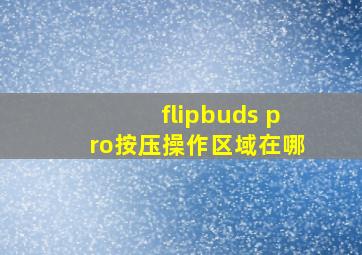 flipbuds pro按压操作区域在哪